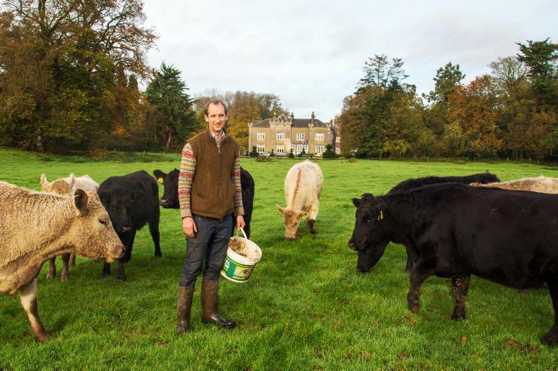 My farming week: Reuben Cope, Shankill Castle, Paulstown, Co Kilkenny