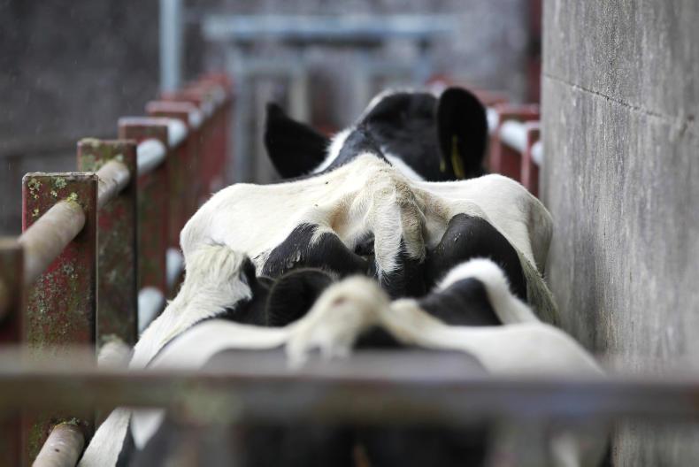 News in brief from Northern Ireland