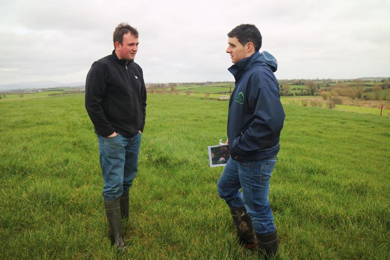 BETTER farm: Silage delay shows as AI begins in Louth