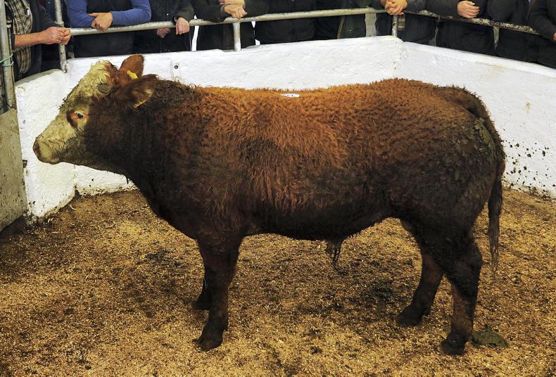 Improved farmer activity results in a positive trade