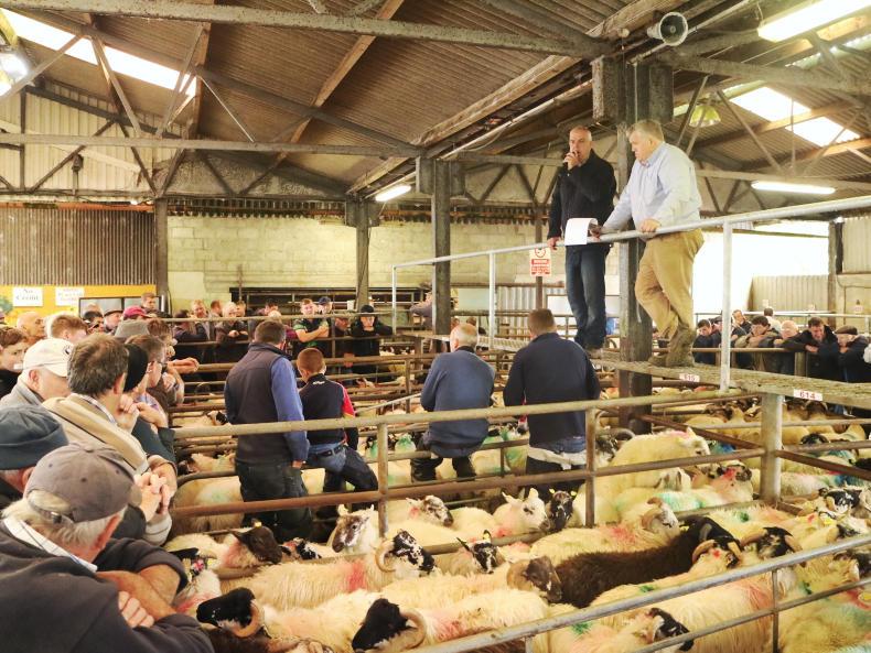 A glimmer of positivity in recent days