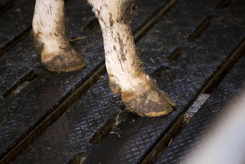 New culling tool launched      