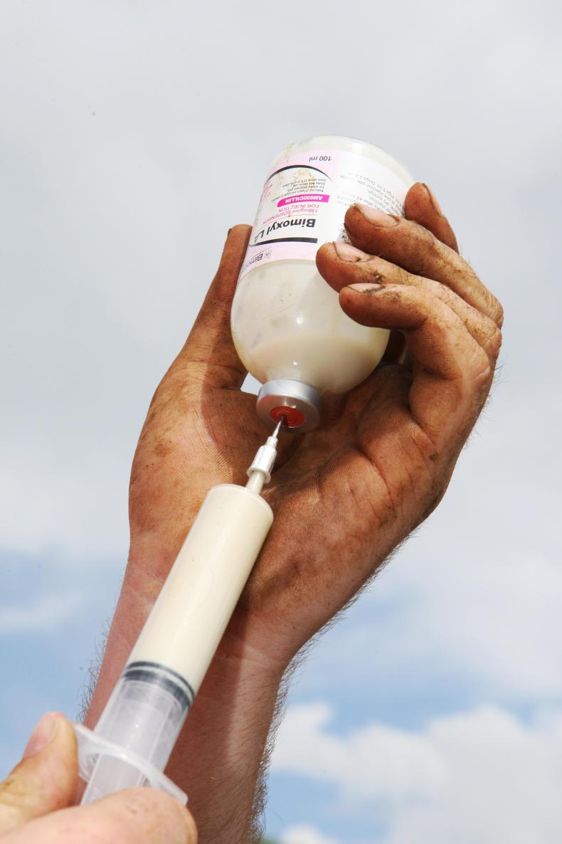 Antibiotic targets to be announced