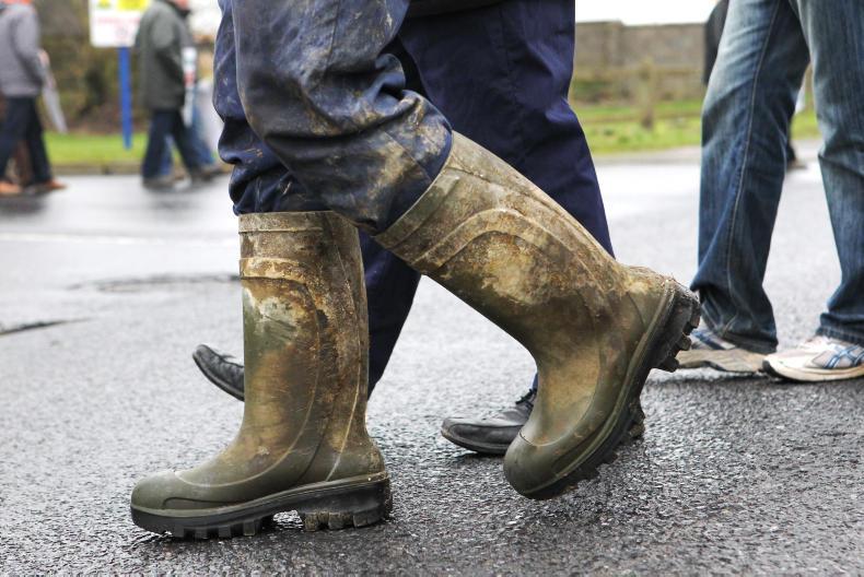 IFA news and activities this week 