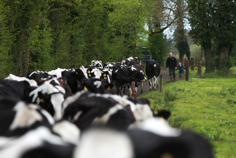 'We are giving our margin to supermarkets' - anger at liquid milk conference