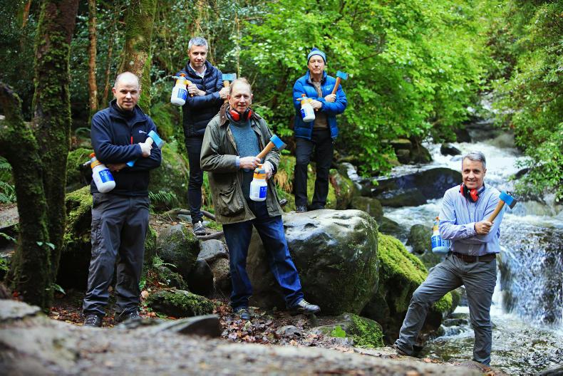 Men's Sheds: Saving our parks from a scourge