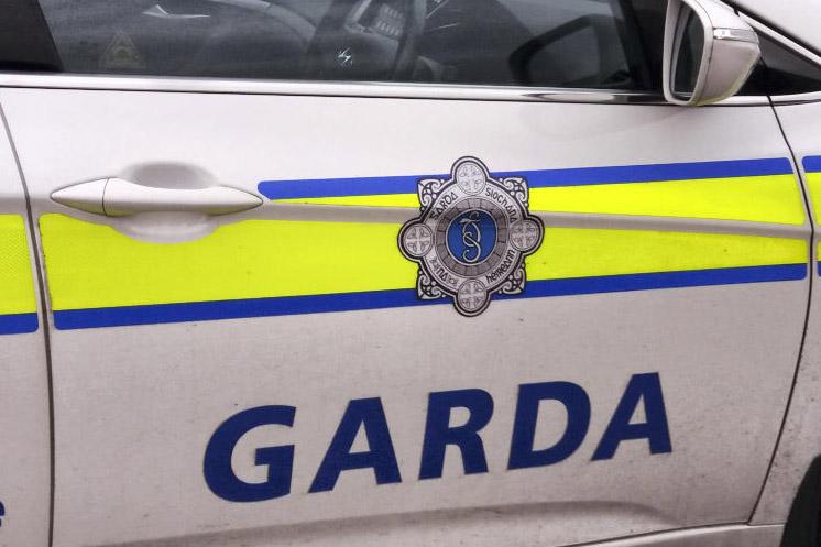 Bench warrant issued for Tipperary farmer John Hanrahan over sheep kill