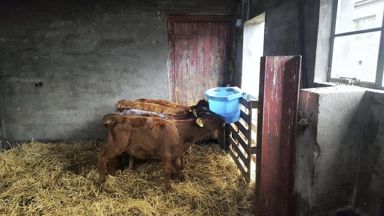 Not a year to be carrying passengers