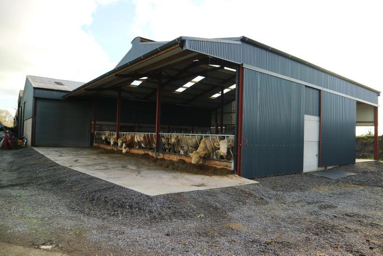 Flexibility key for pedigree breeder