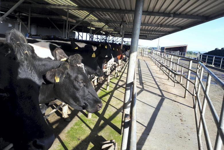 Greenfield update: yield drops, SCC rockets