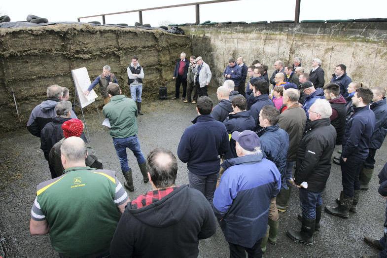 Good milk price but limited fodder