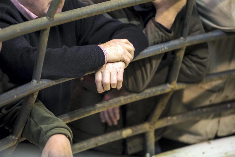 Man receives serious head injuries at Castlerea Mart