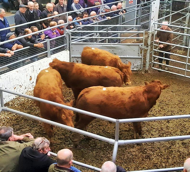 In pictures: strong turnout at Bandon bank holiday sale