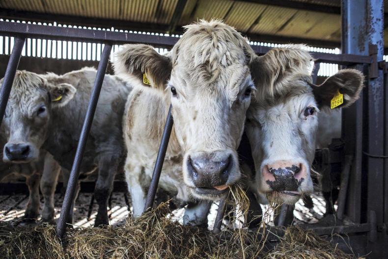 Deadline passes for submission of carbon navigators 