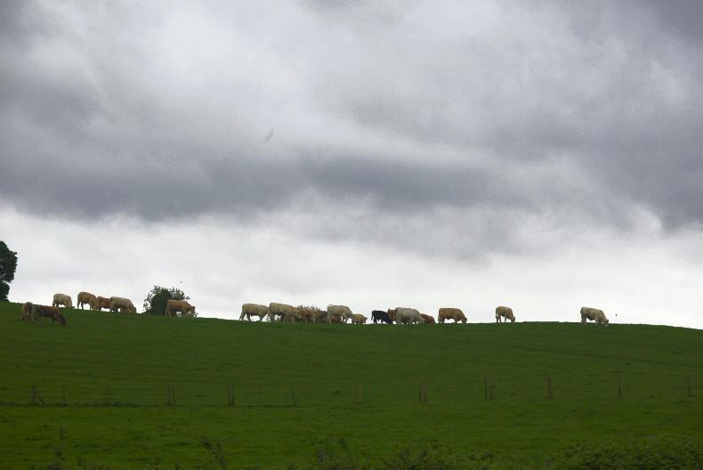 Prioritise cleaning out heavy covers before the rain
