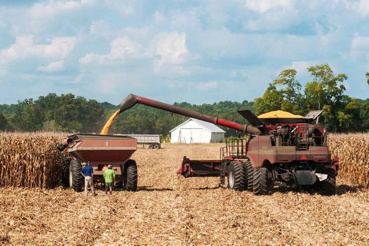 Global report - stories from around the world