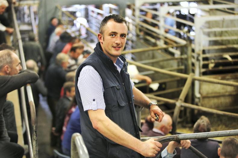 Mart manager comment: David White, Castleisland Mart