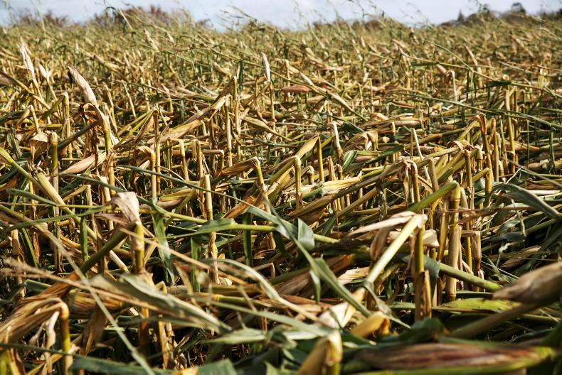 Monthly weather: mild October with record winds and uneven rainfall