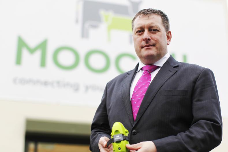 Company profile: Moocall 