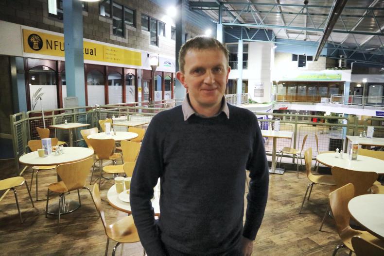 200 new entrants to Beef Efficiency Scheme