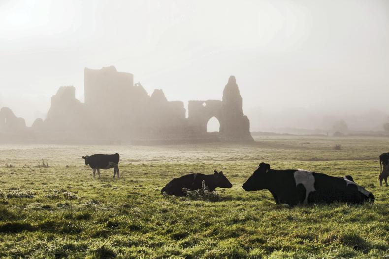 Weekly weather: mainly dry until the weekend