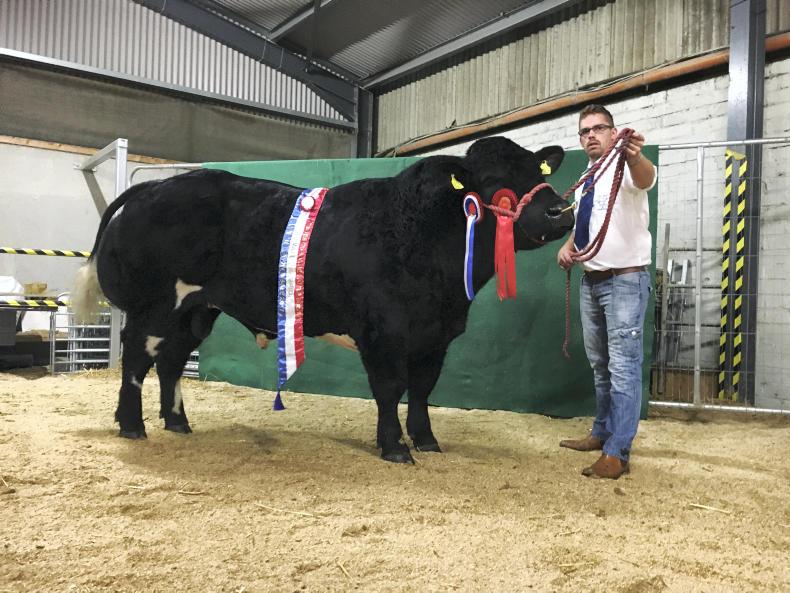 Blue premier hits ceiling of €6,000