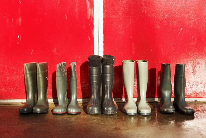 Southeast Women in Farming to meet