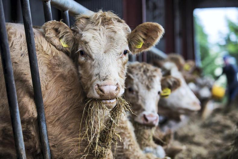 Farmer Writes: the housing checklist 
