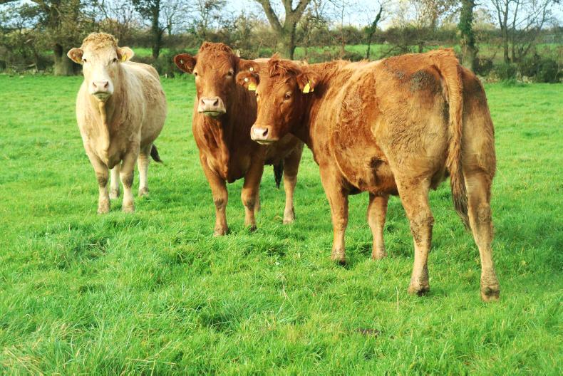 Watch and listen: superb thrive and smart farm safety in Carlow