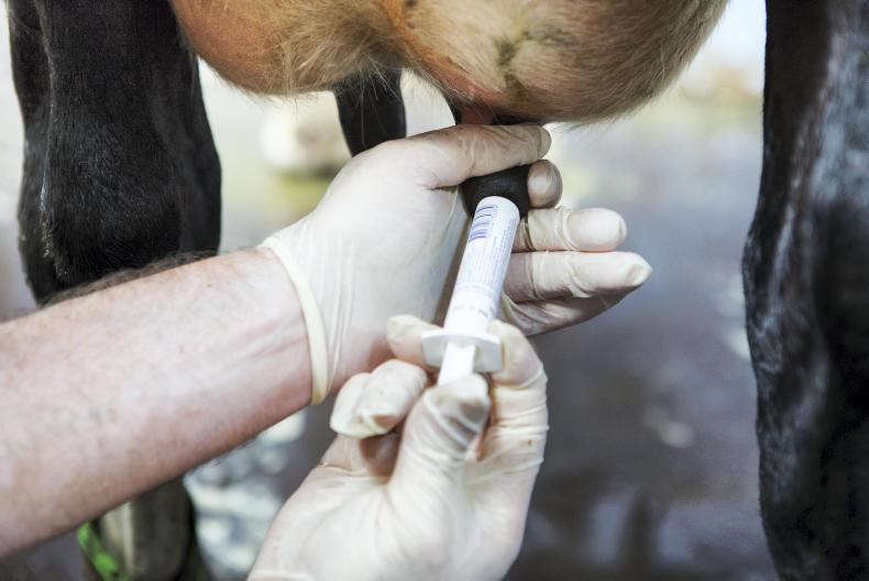 World health body recommends end to preventative antibiotics use