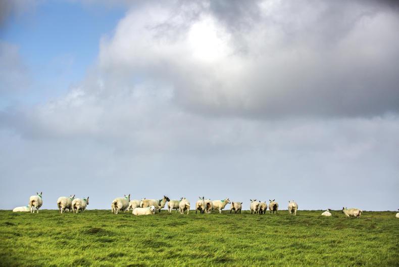 Listen: should farmers fear the citizens assembly?