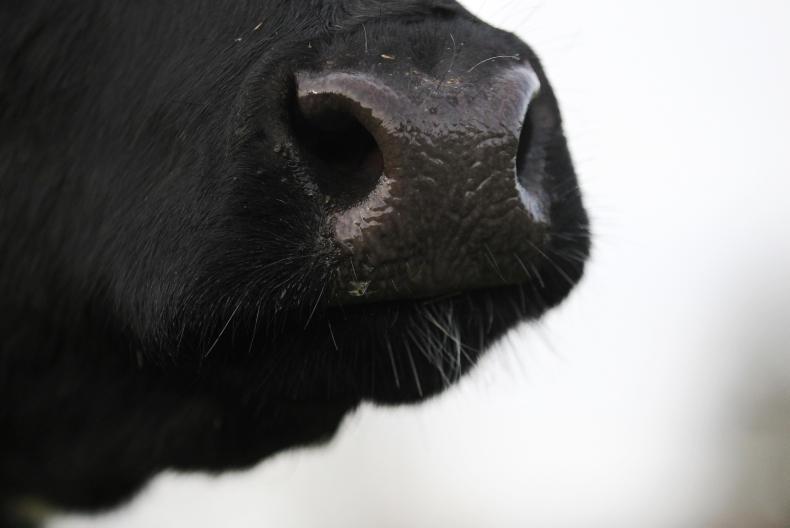 Farmer Writes: countdown to the dry period