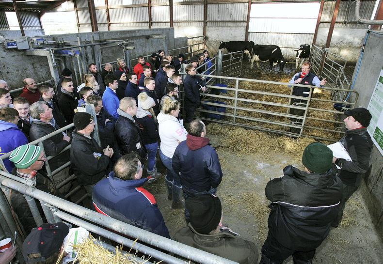 Listen: breeding the optimal cow in Co Down