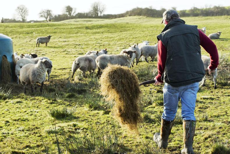 Organic farmers await 2016 balancing payment