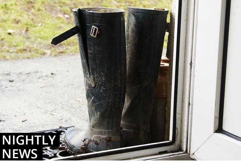 Irish Farmers Journal nightly news: farm fire, tractor sales and land auctions