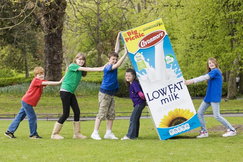 The great debate: regular cows' milk or dairy-free alternatives?