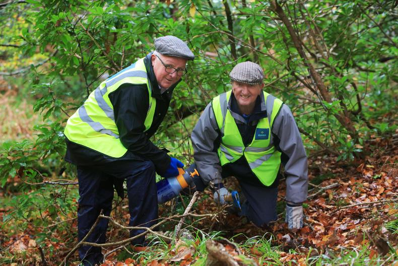 Lending a helping hand in Killarney 