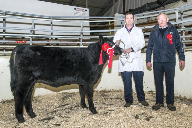 Lack of quality at Munster branch sale