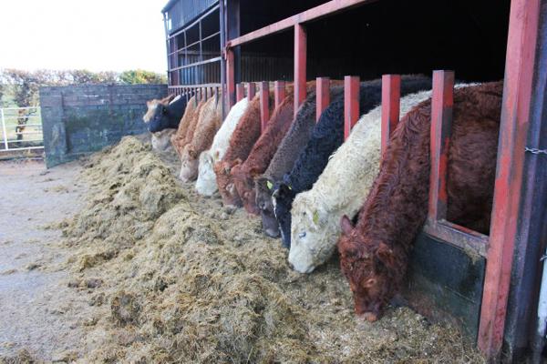 Flat-rate VAT case taken to Europe