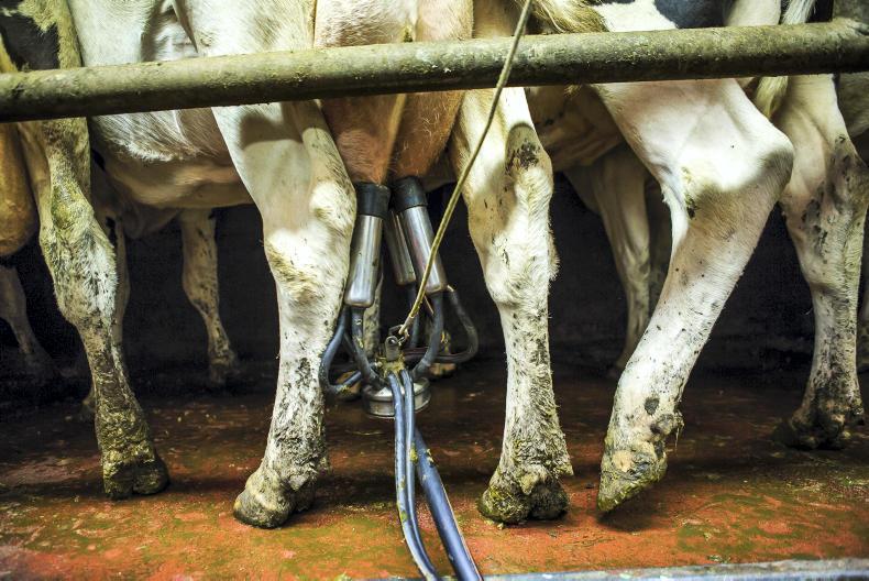 Carbery announces fixed milk price scheme