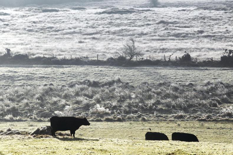 Weekend weather: cold and frost will give way to rain this weekend