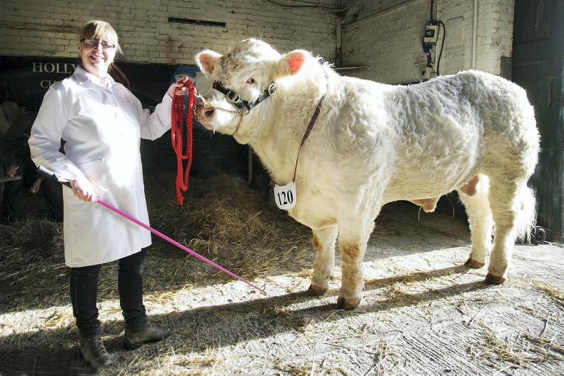 Around the country in pictures this week                         