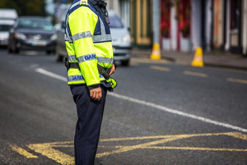 Listen: CCTV and more gardaí needed to fight rural crime