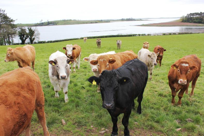 News round-up from Northern Ireland