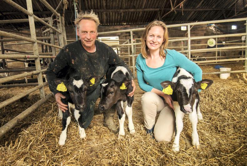 Farmer Writes: best grazing season of a lifetime in England