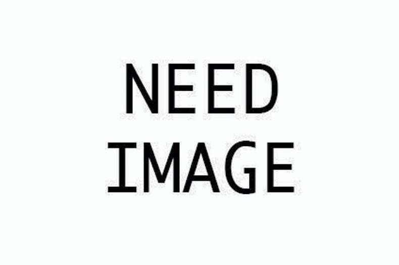 Maurice Hickey:  Call for a ceasefire