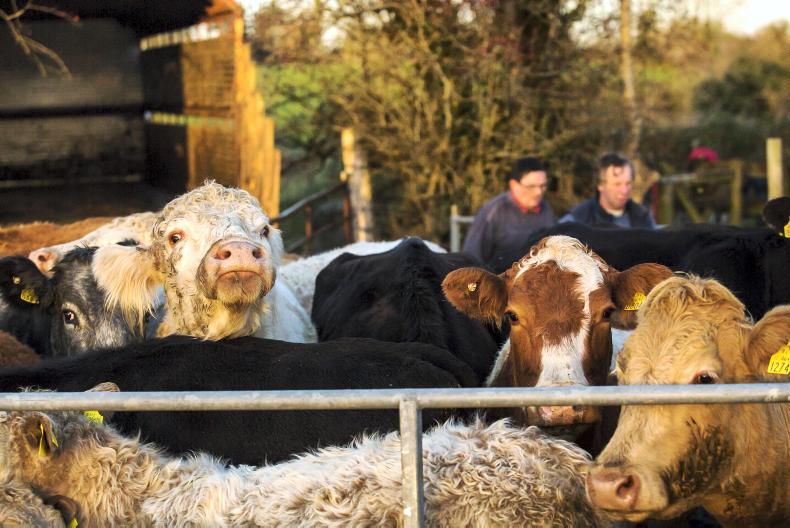 Knowledge Transfer payments made to 1,140 farmers