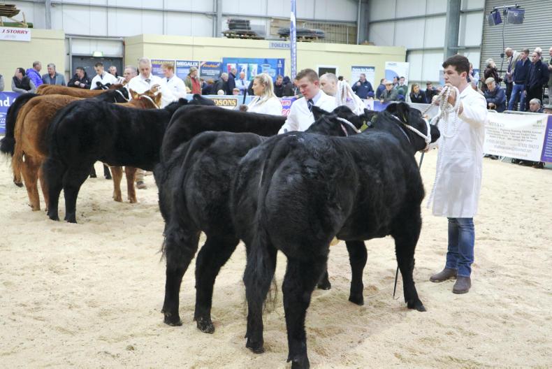 Lanark lights up for LiveScot 
