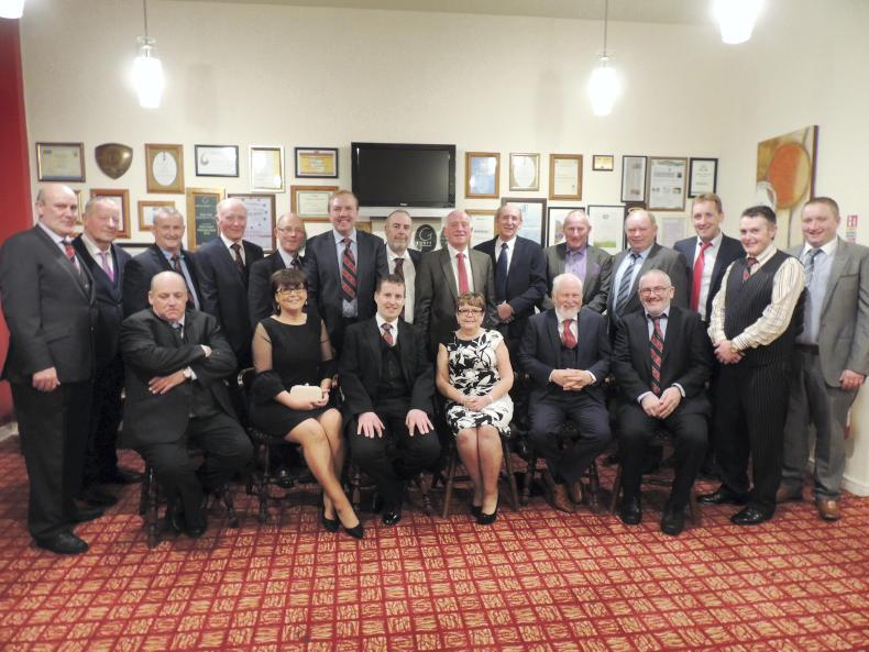 A half century of the Irish Angus