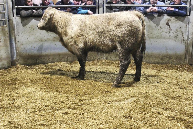 Forward cattle in demand at Armoy Mart